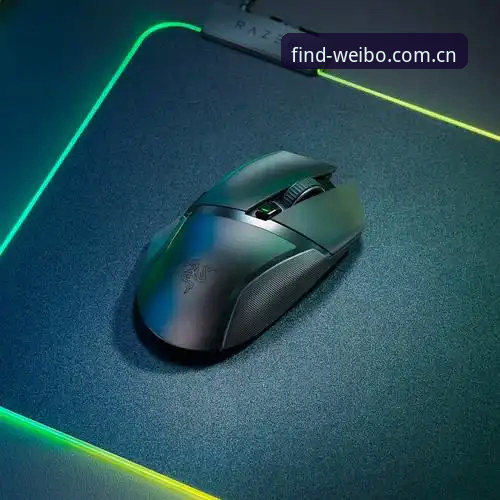 韦博体育登录入口手机版实用指南｜新赛季找入口、看数据、下APP，一篇讲清楚